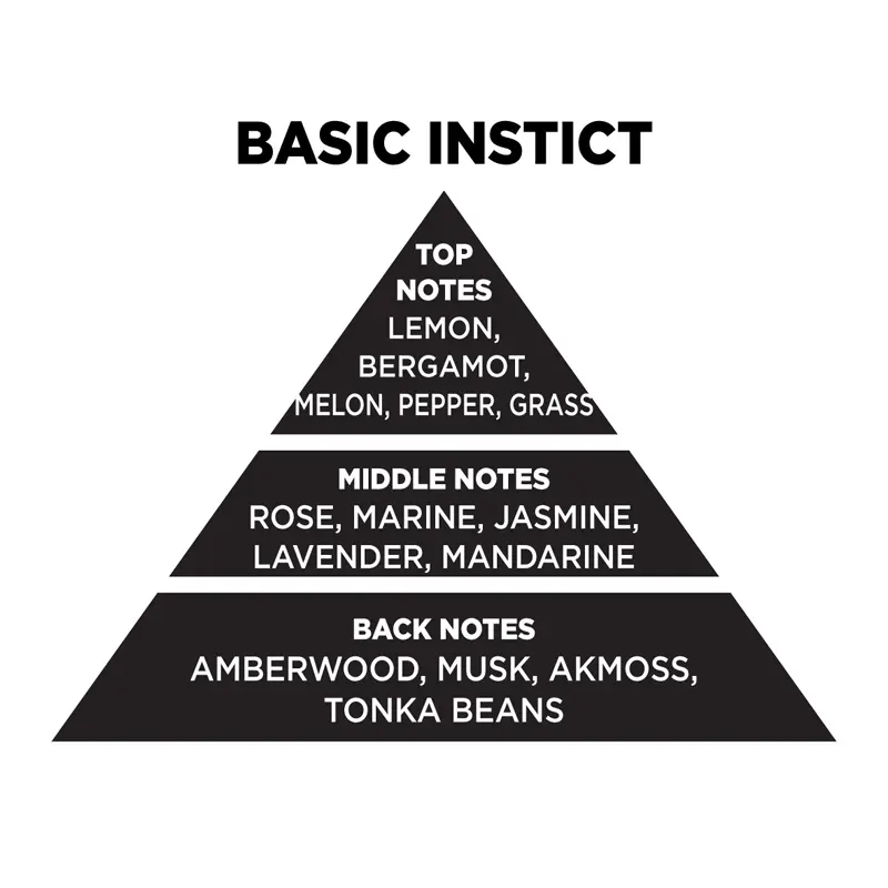 BASIC INSTICT 3