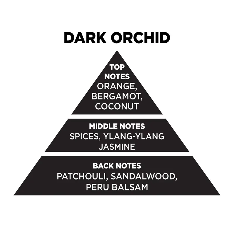 DARK ORCHID 3